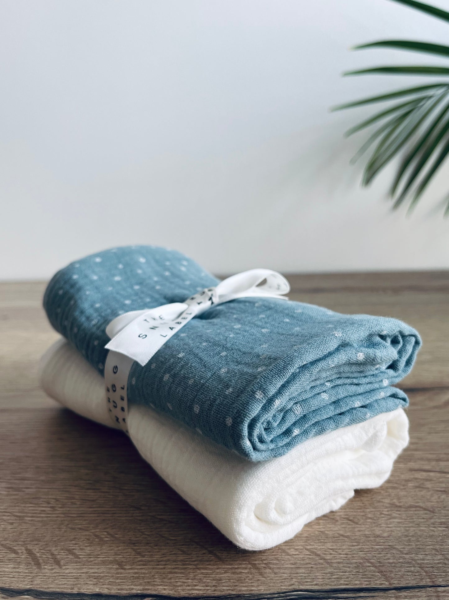 Tetra plenice - modra pikice + bela enobarvna