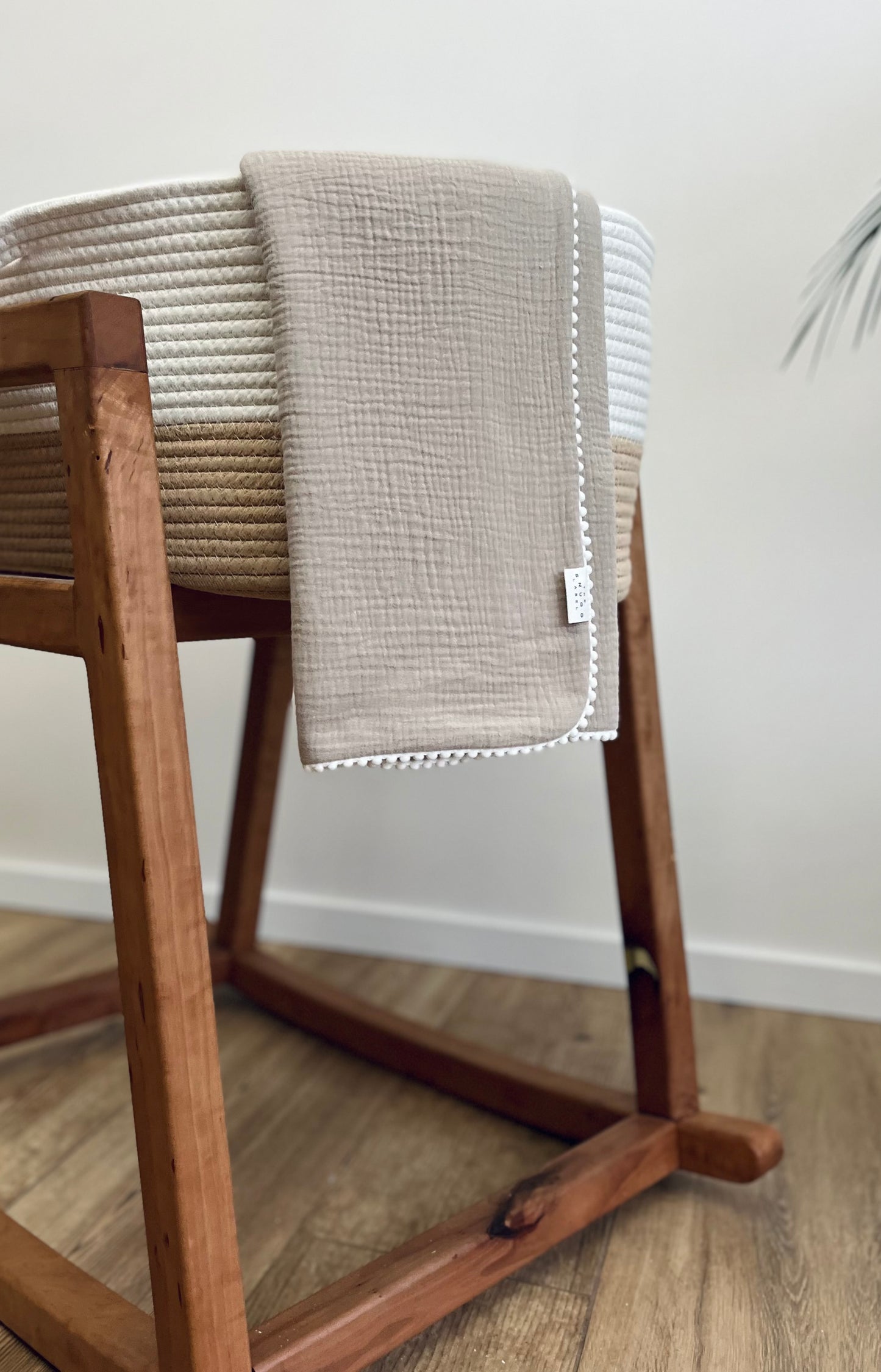 Tetra odejica - sivobež