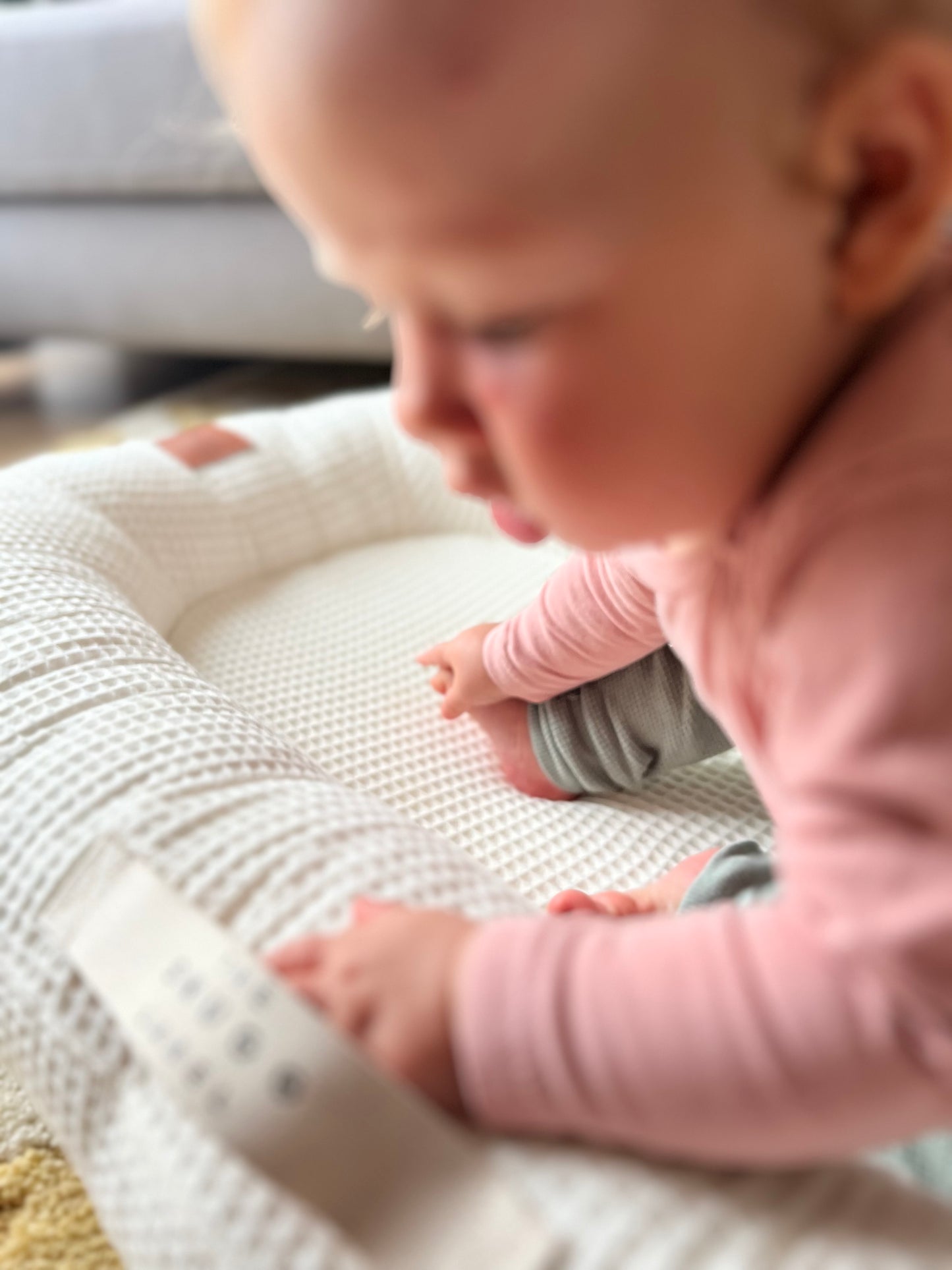 Gnezdece - svetlo modra